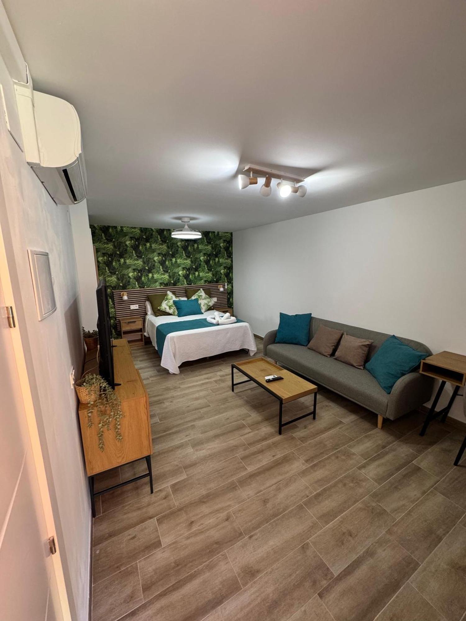 Junior Suite Terrace