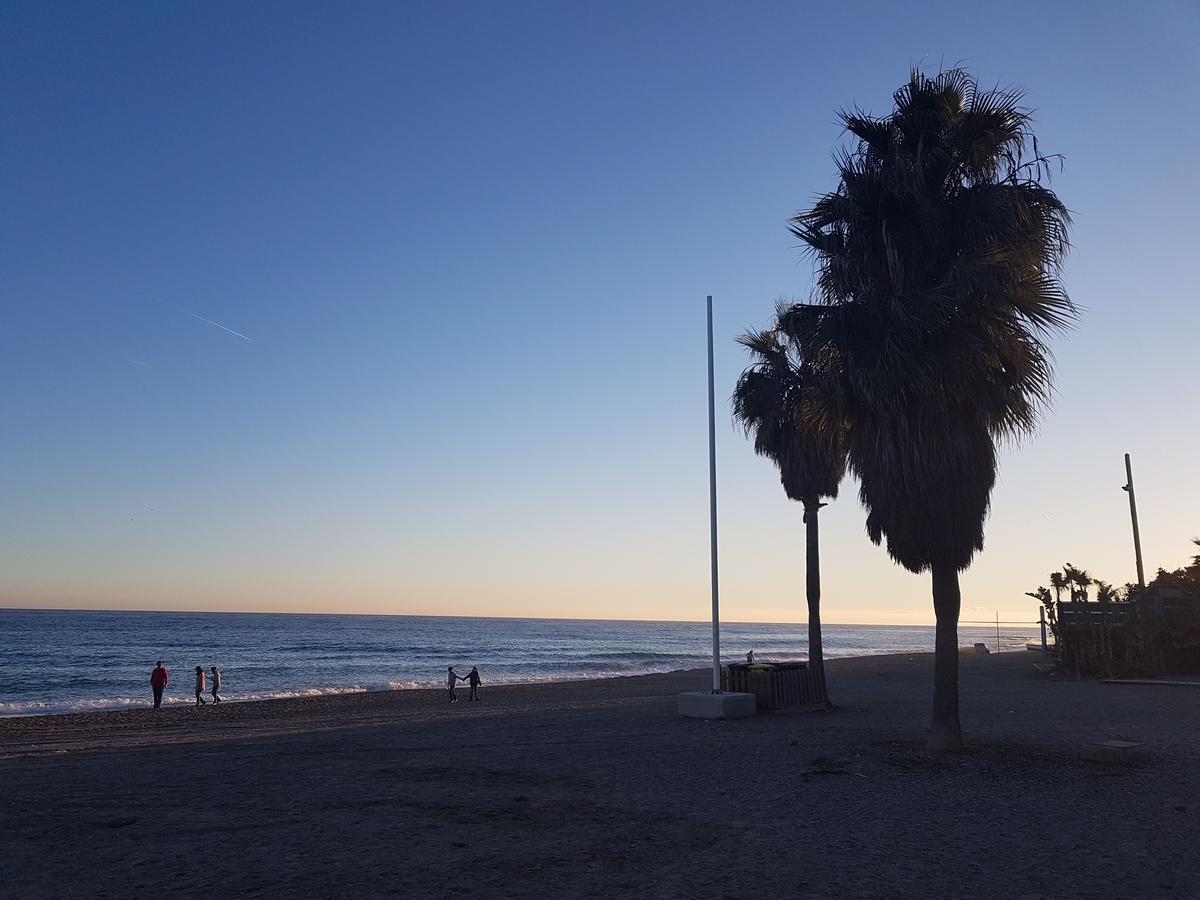 One-Bedroom Apartment,537696027:JPEG