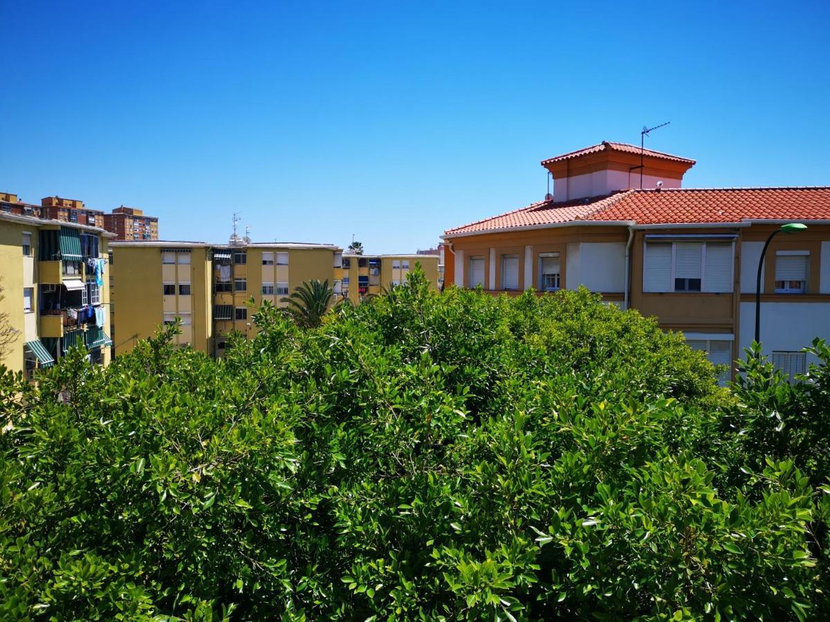 Apartment,918680545:JPEG