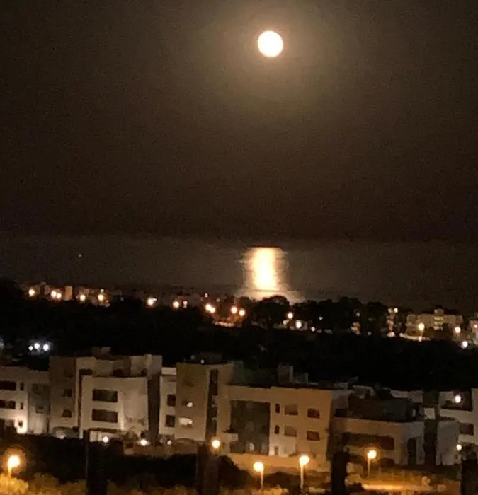Marbella,Estepona,Selwo Hills,Sea And Sun Hills,New Golden Miles-1