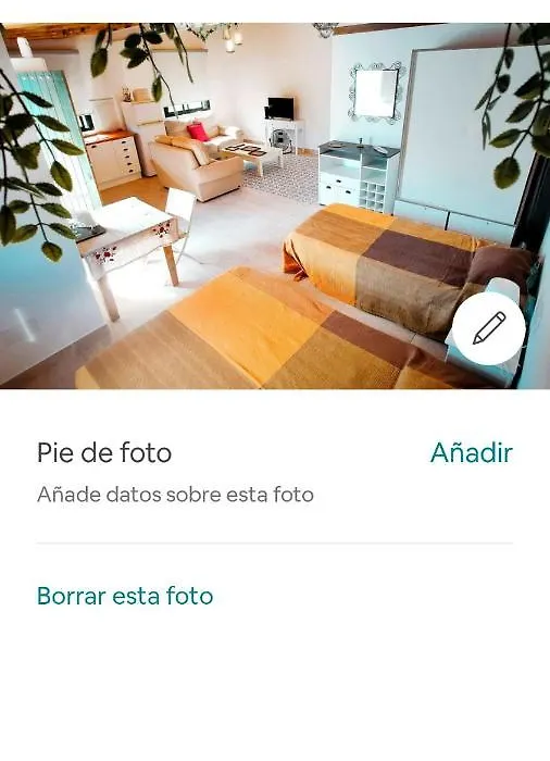 Apartamento Los Limoneros-1