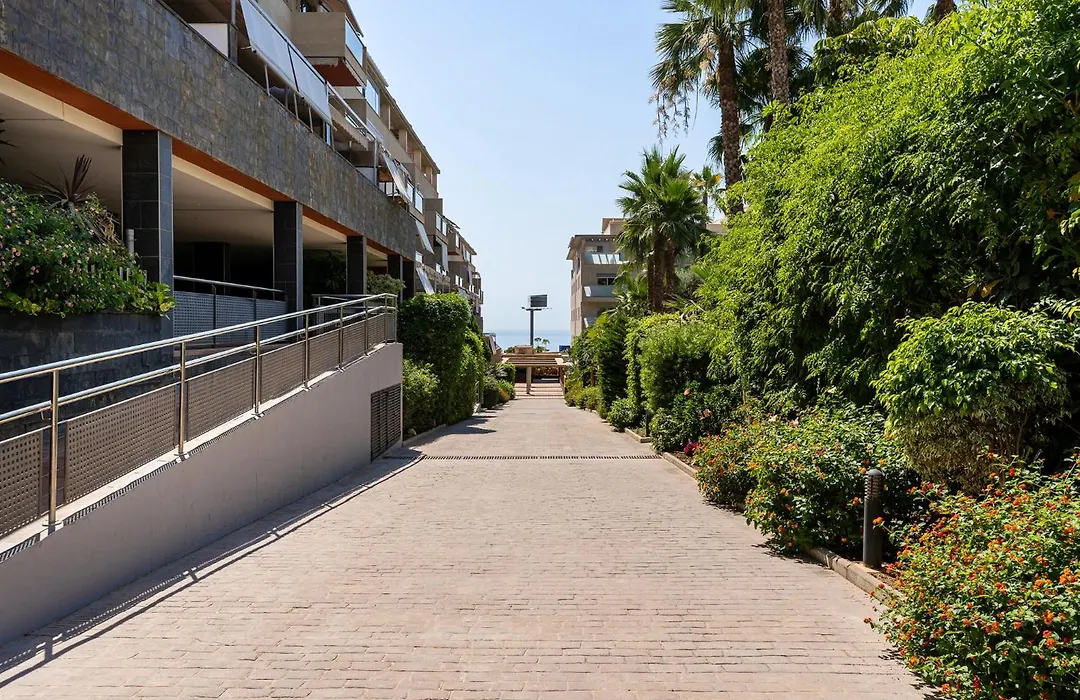 Monko Malibu-1