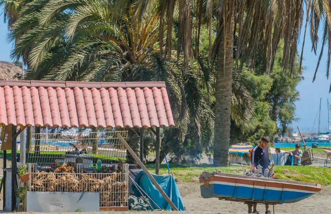 Cubo'S La Casita Del Palo-1