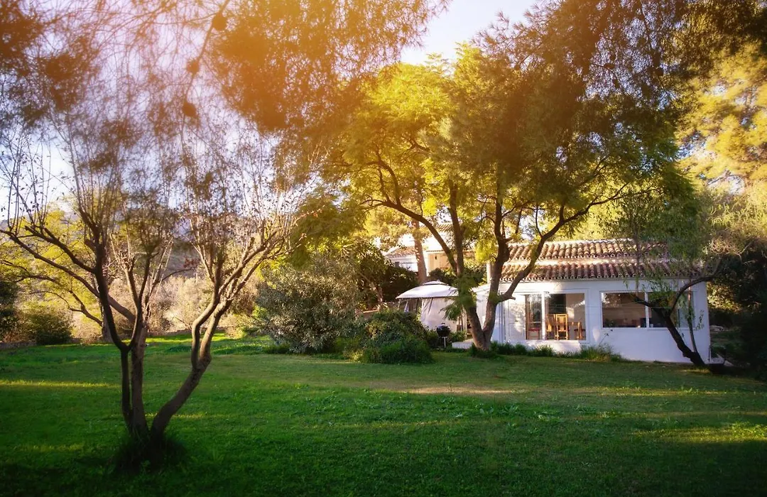 Finca Palmers Dos-1