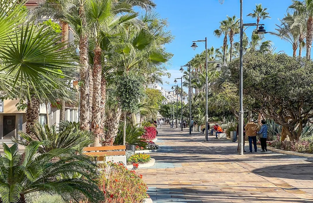 Hanami Avenida De Espana-1