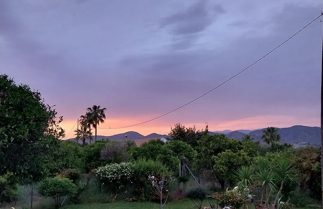 Finca Sueño de Vida-1