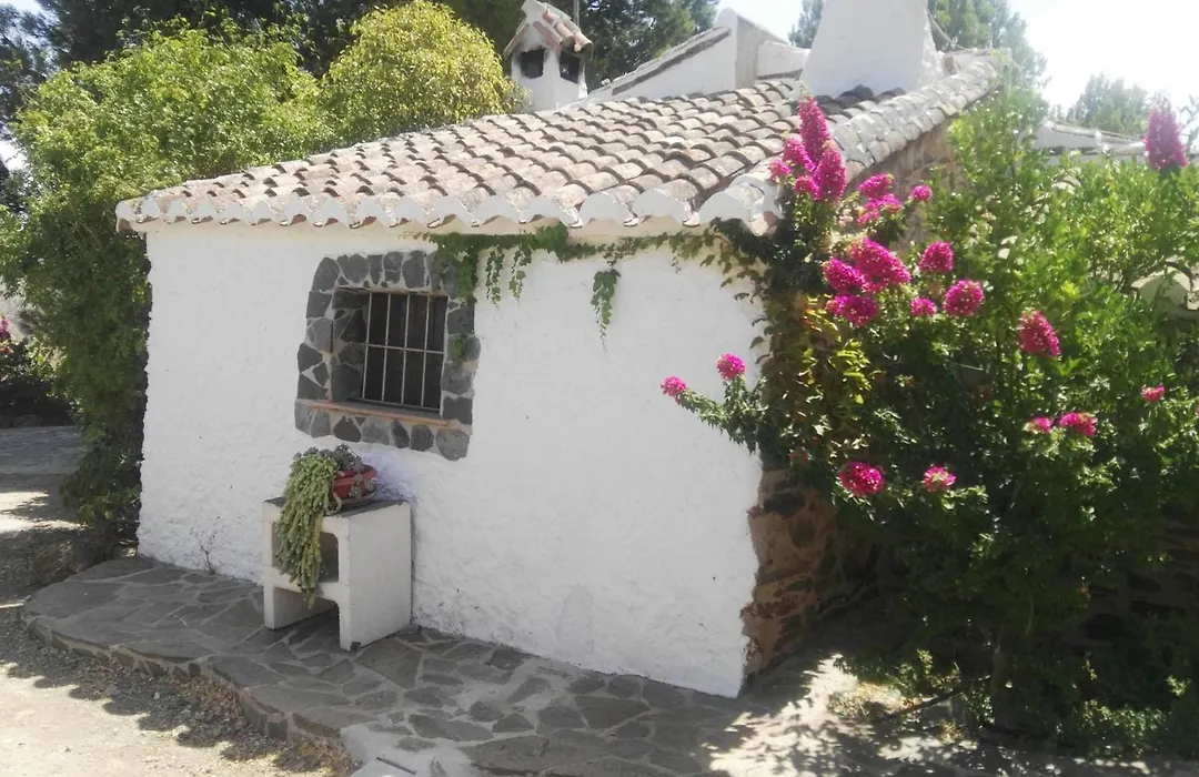Pinar El Almendra-1