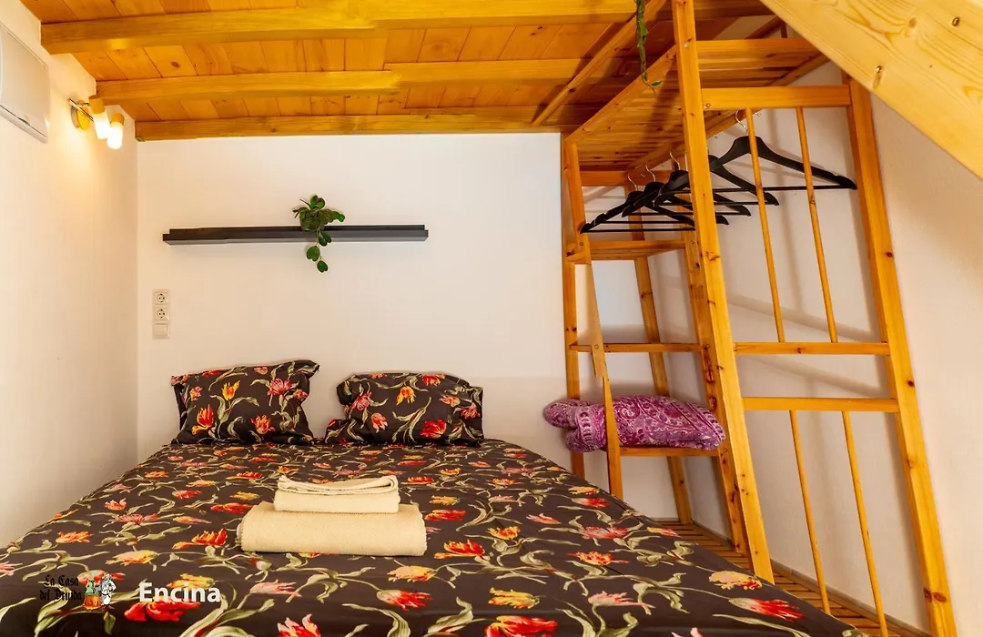 La Casa del Druida II-1