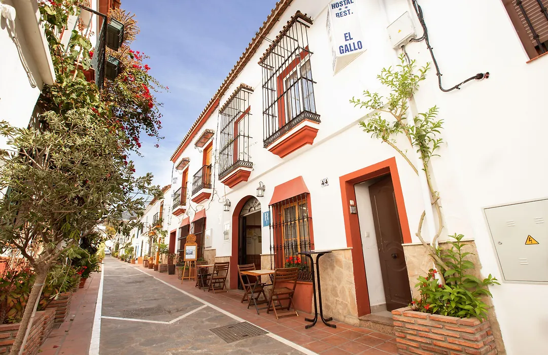 Hostal El Gallo-1