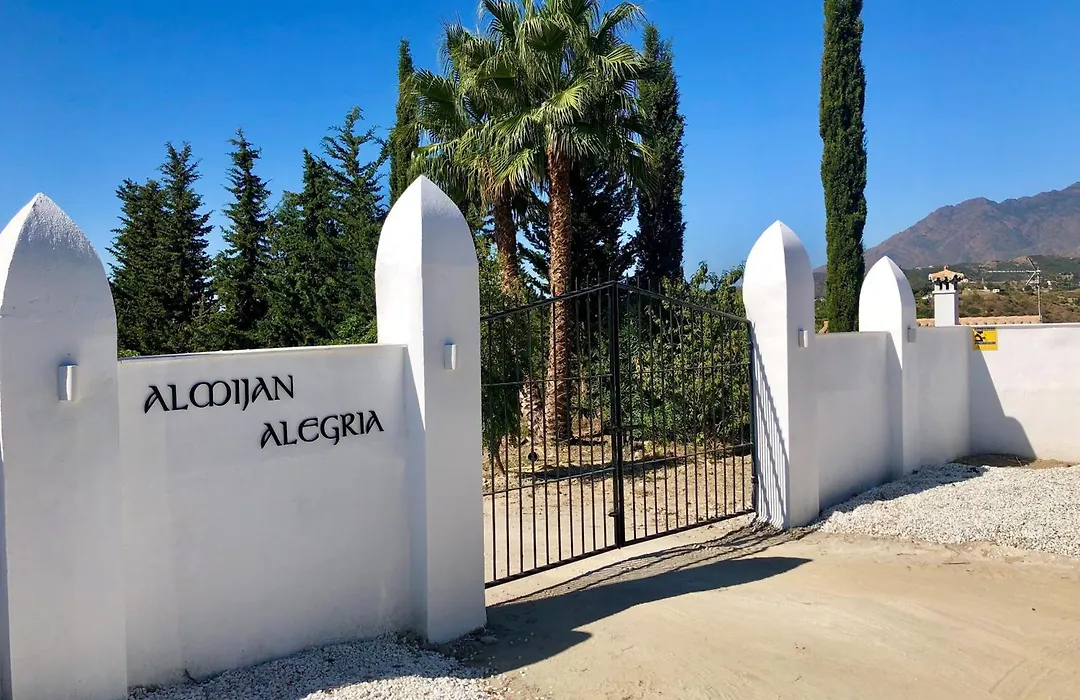 Almijan Alegria-1