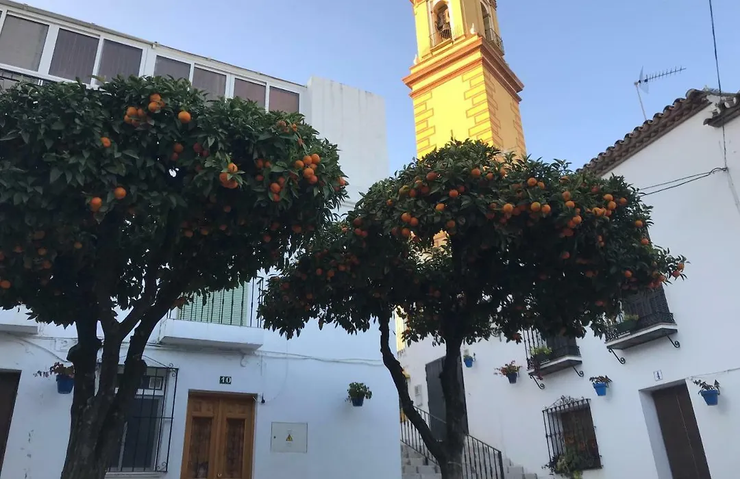 Casa Sirena-1