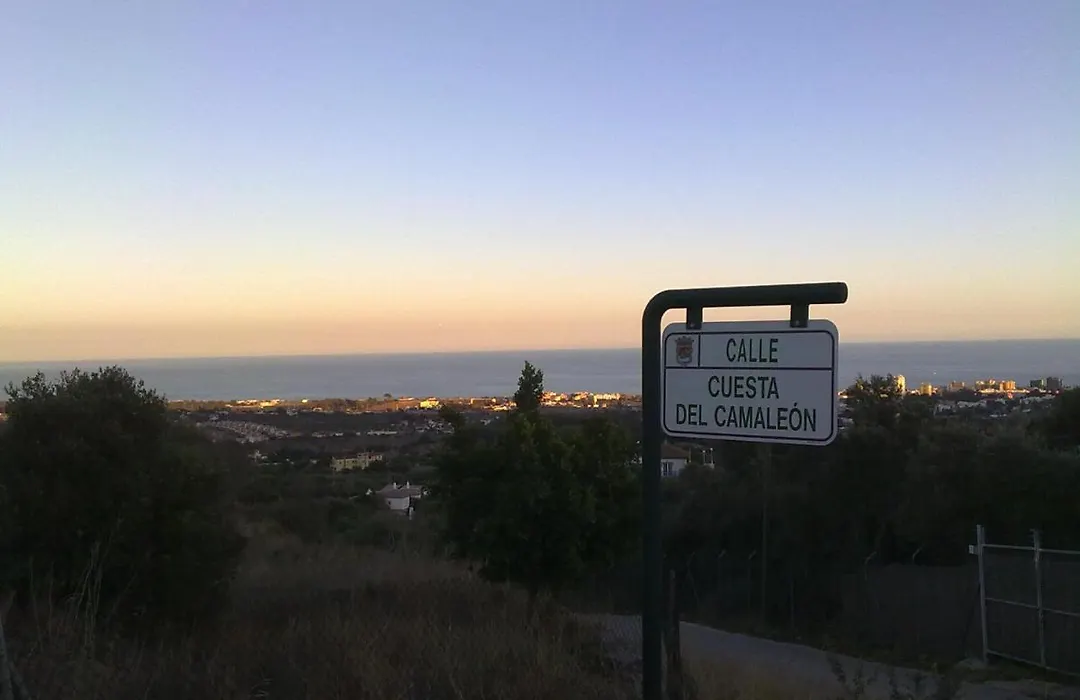 Carpe Diem De Malaga-1