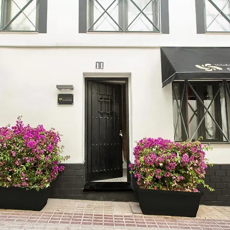 Vientos De Marbella-2