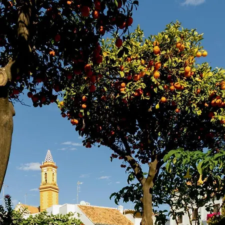Casa Azul - Boutique Apartments By Casa Del Patio (Adults Only)-2