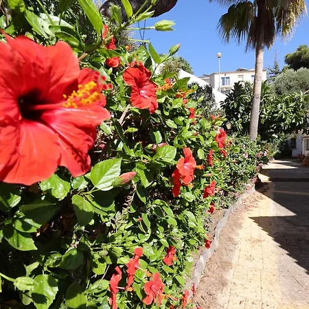 Quaint 2 Bedroom Townhouse With Pool Close To Sea!-3