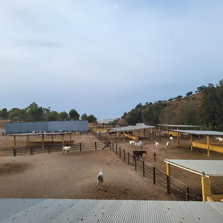 Finca Palmers Dos-3