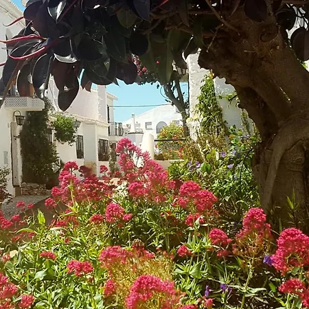 El Capistrano Sur-2