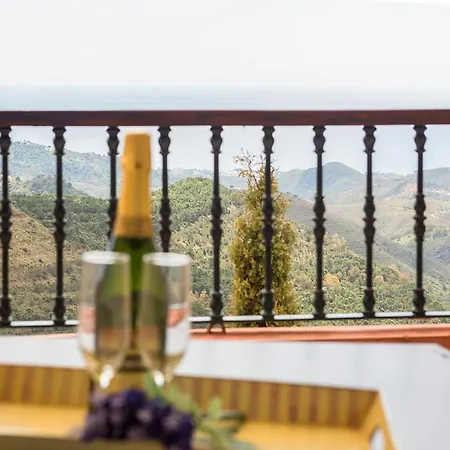 Hotel Wellness Marbella Hills-3