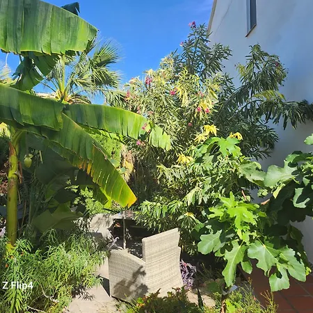 DELUXE Studio ATHOS 50 MP Garden patio BENALMADENA Golf&Beach-2