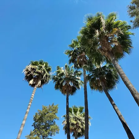 Vas Málaga Ciudad-3