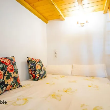 La Casa del Druida II-2