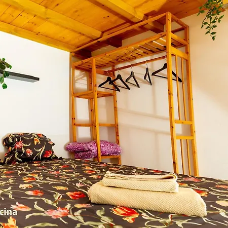 La Casa del Druida II-3
