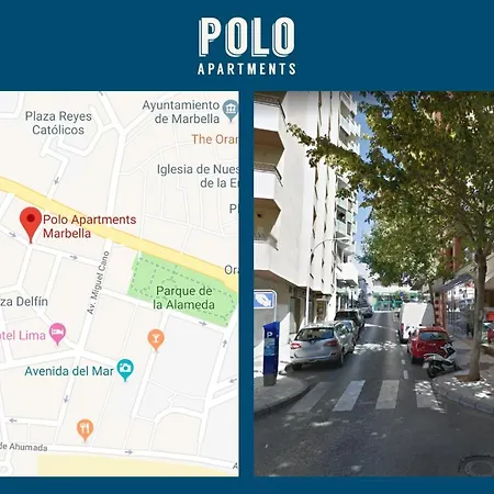 Polo Apartments 4B-3
