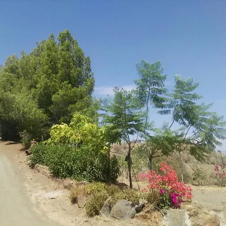 Pinar El Almendra-2