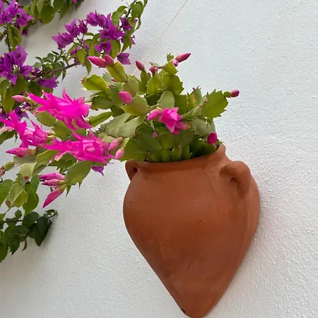 Casa Alta B&B-2