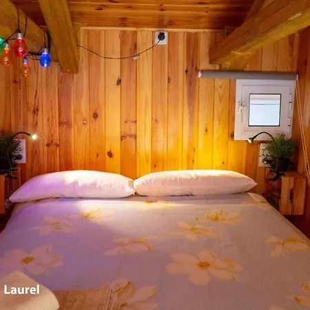 La Casa del Druida-2