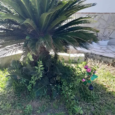 La Rana Azul-2