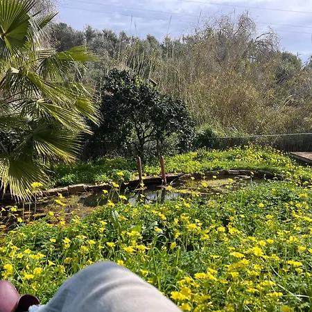 Boutique Finca Stay In Nature-3