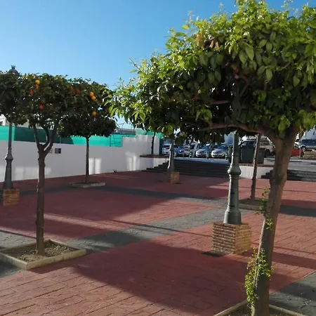 Carabeo-3