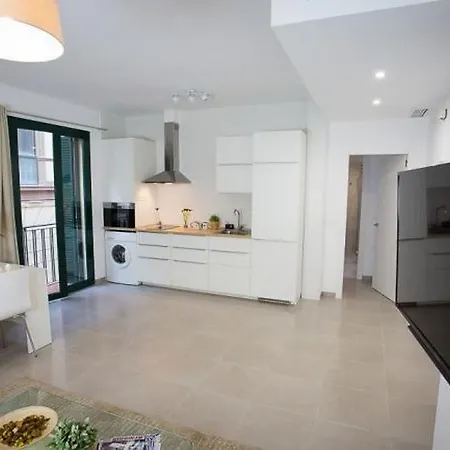 Apartment In Malaga 102288-3
