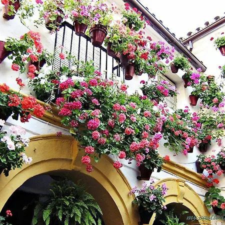 Casa En Marbella-3