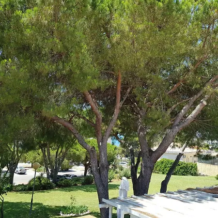 Lugar De La Luz-2