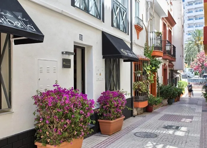 Huisdiervriedelijke Vientos De Marbella Appartement