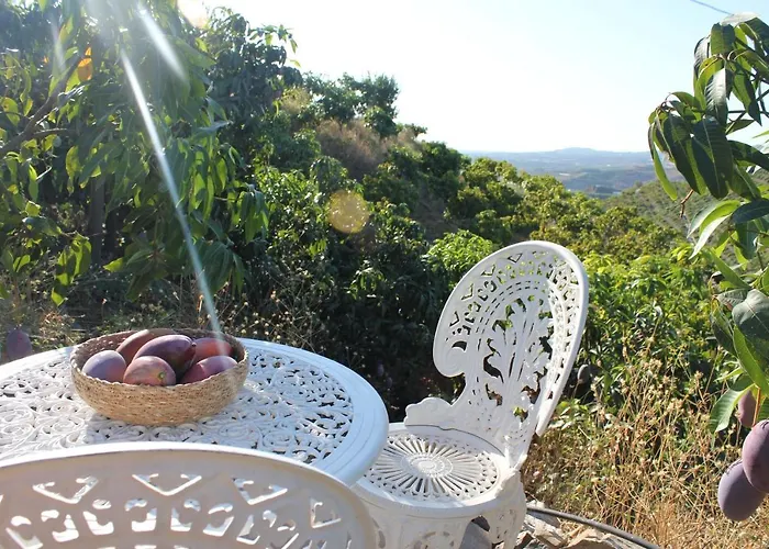 Finca El Mundo Verde - Luxury Apartment Vélez