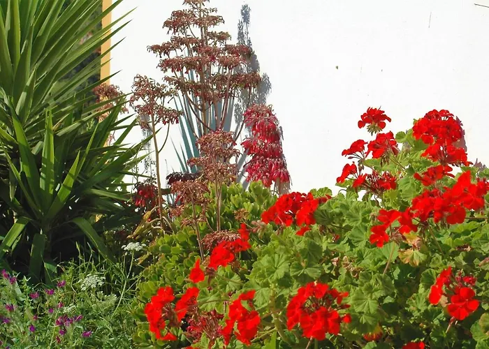 Jingtu Wellness & Spa Resort Comares
