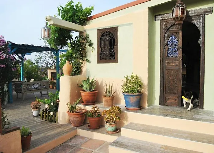 B & B Finca Sencilla Mijas acceptant les animaux