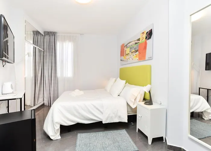 Huisdiervriedelijke Hotel Kuve Marbella