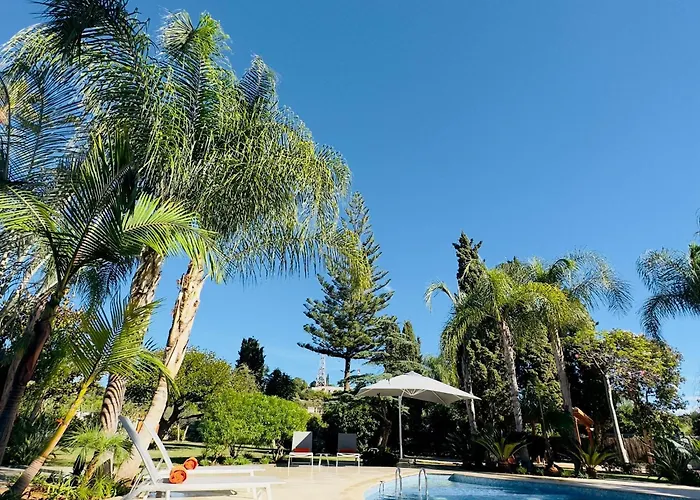 La Pina Verde Estepona