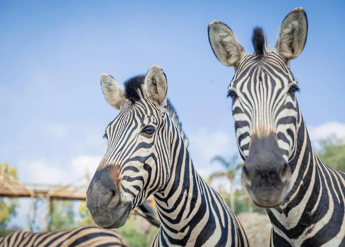 Hotel Selwo Lodge - Animal Park Tickets Included Estepona