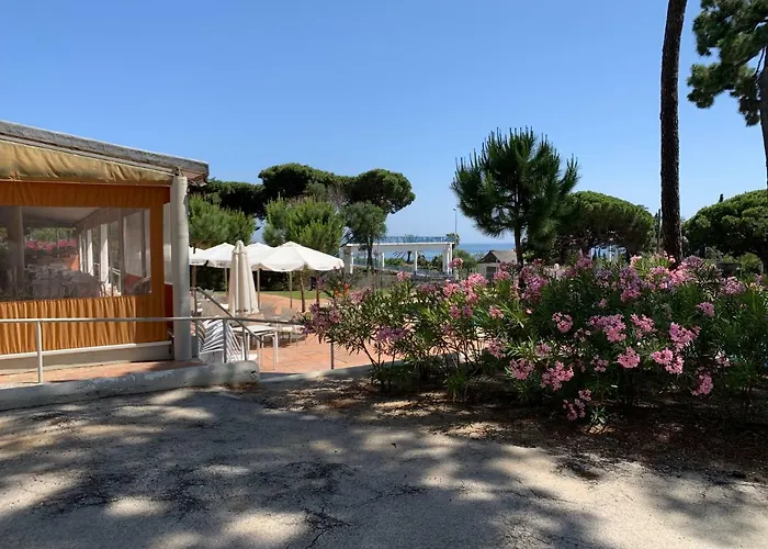 Camping La Buganvilla Marbella