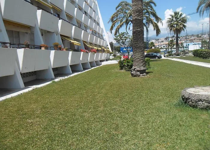 Estudio Caleta de Vélez admite animales