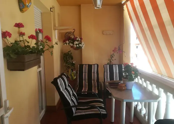 Huisdiervriedelijke Como En Casa Málaga