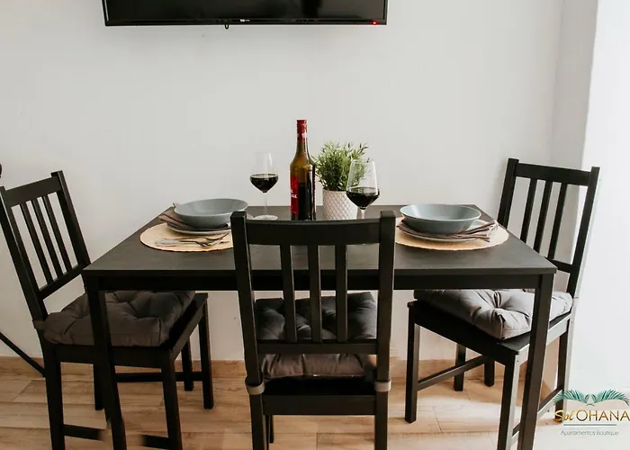 Sol Ohana Apartamento Boutique Torremolinos acceptant les animaux